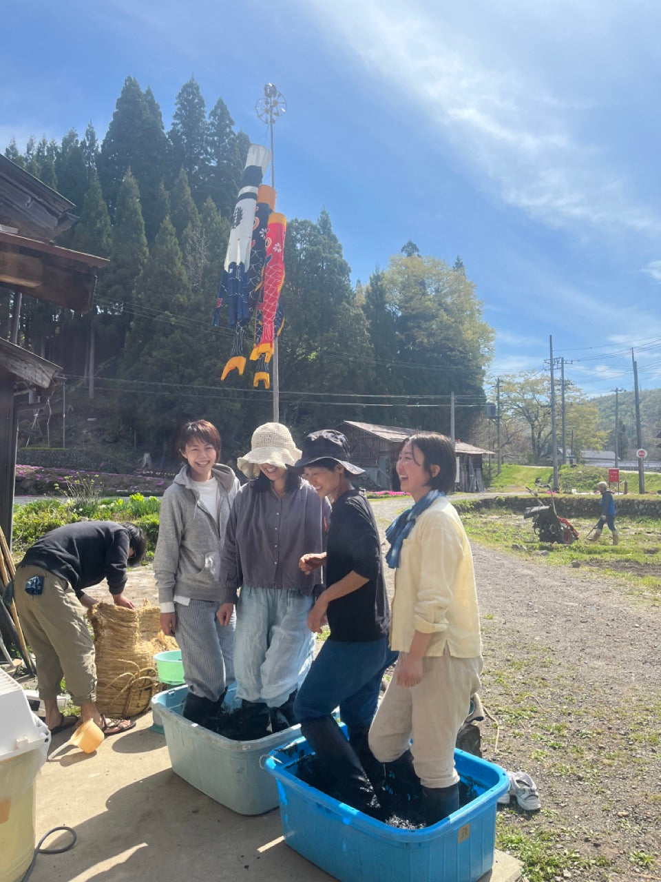 藍建てが始まりました