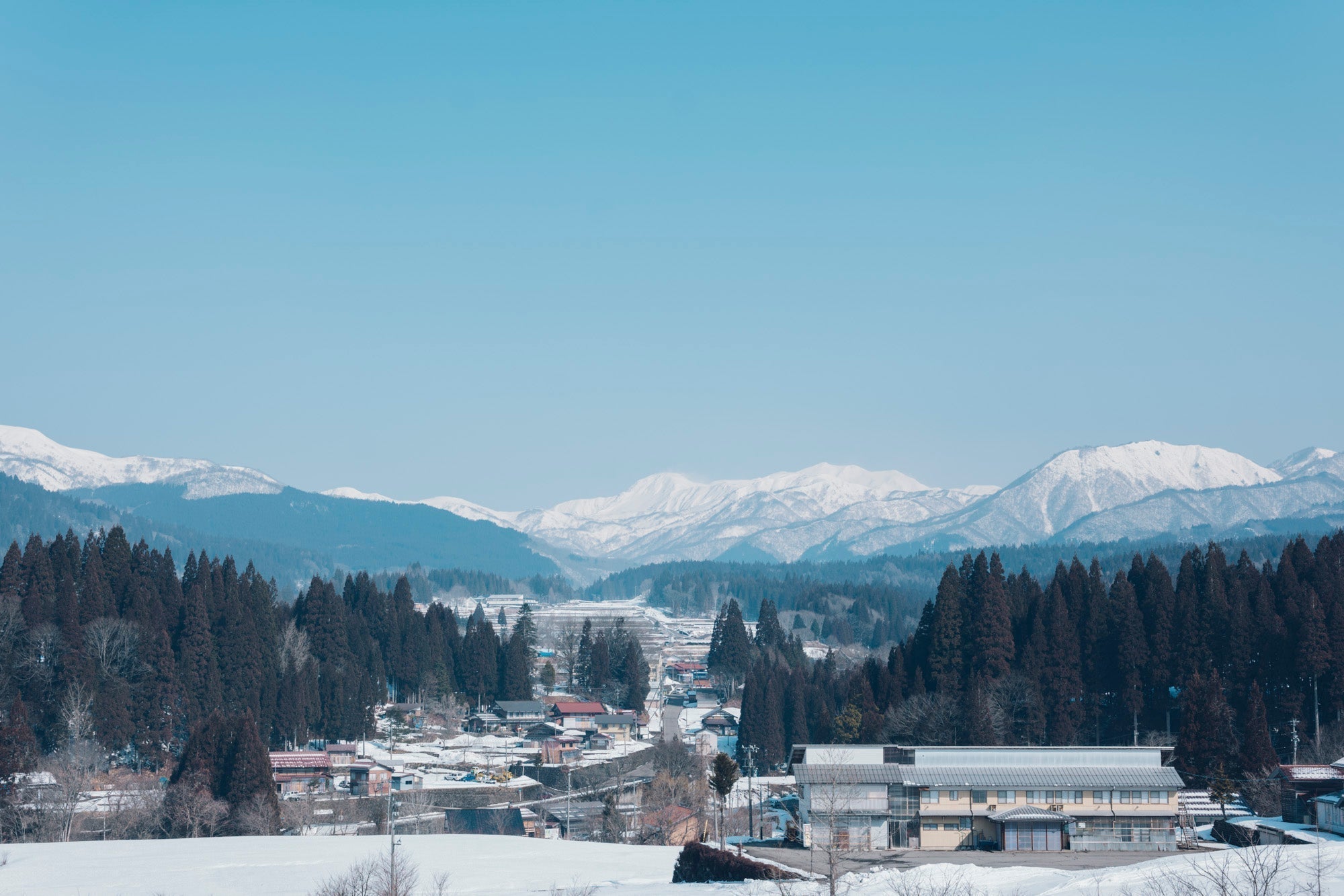 2025年、今年も大変お世話になりました!