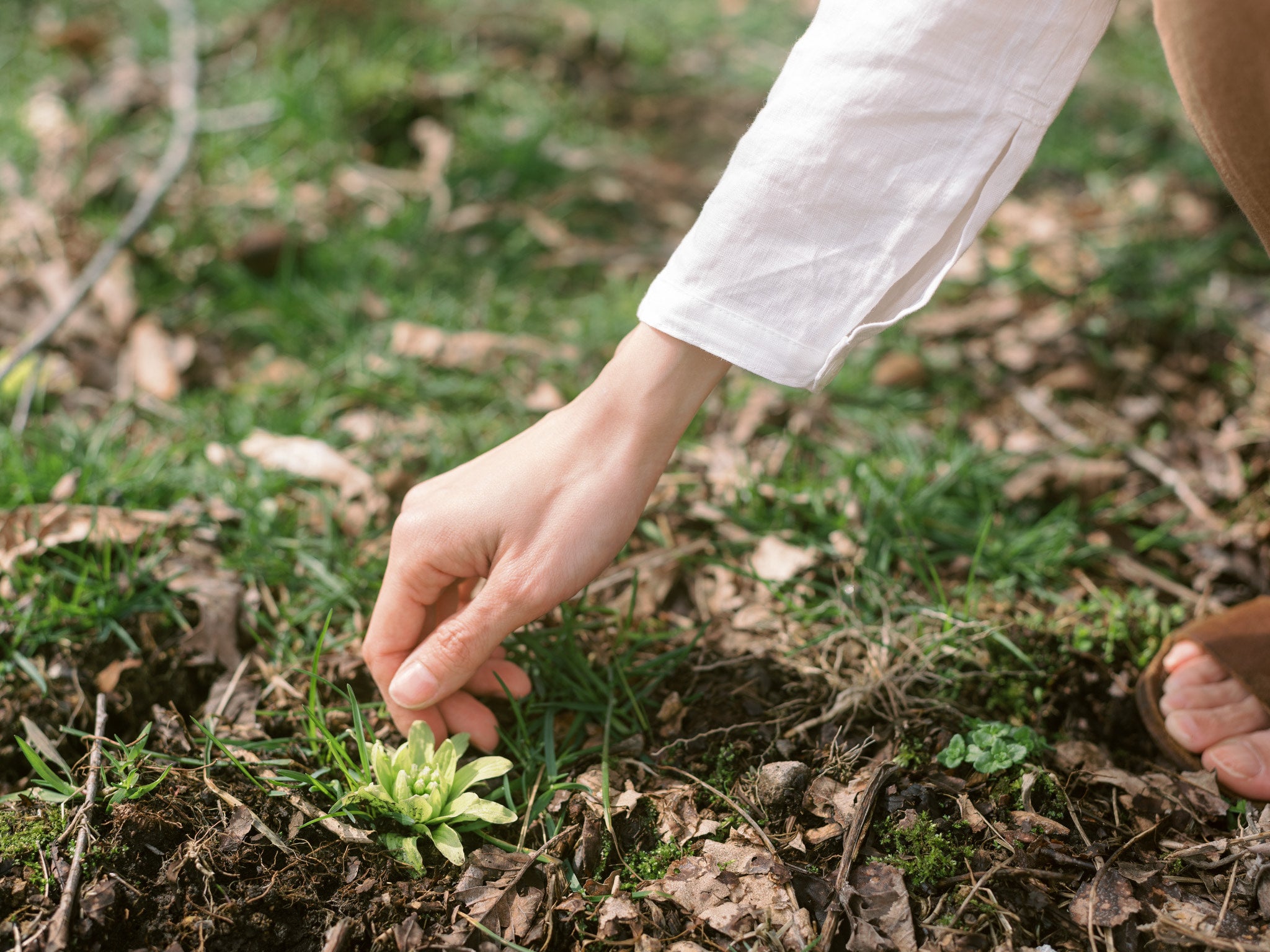 5/15-16 石徹白の食と手しごと 〜山菜摘みと刺し子〜 (春編) ゲストハウスKIITOSに滞在しながら楽しもう