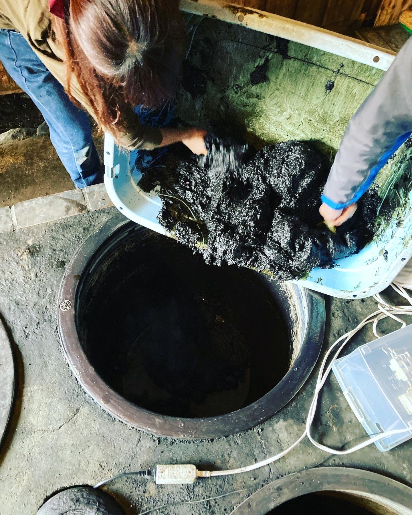 Learn about everything from the fields to indigo dyeing and sukumo making at "Ainoha Trust"