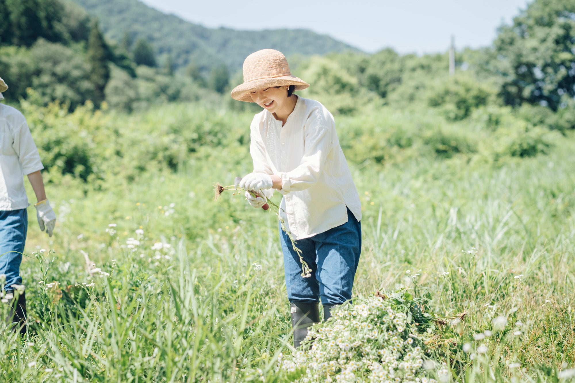 植物採取からの草木染め講座【連続講座】(6-10月 各月2日間)