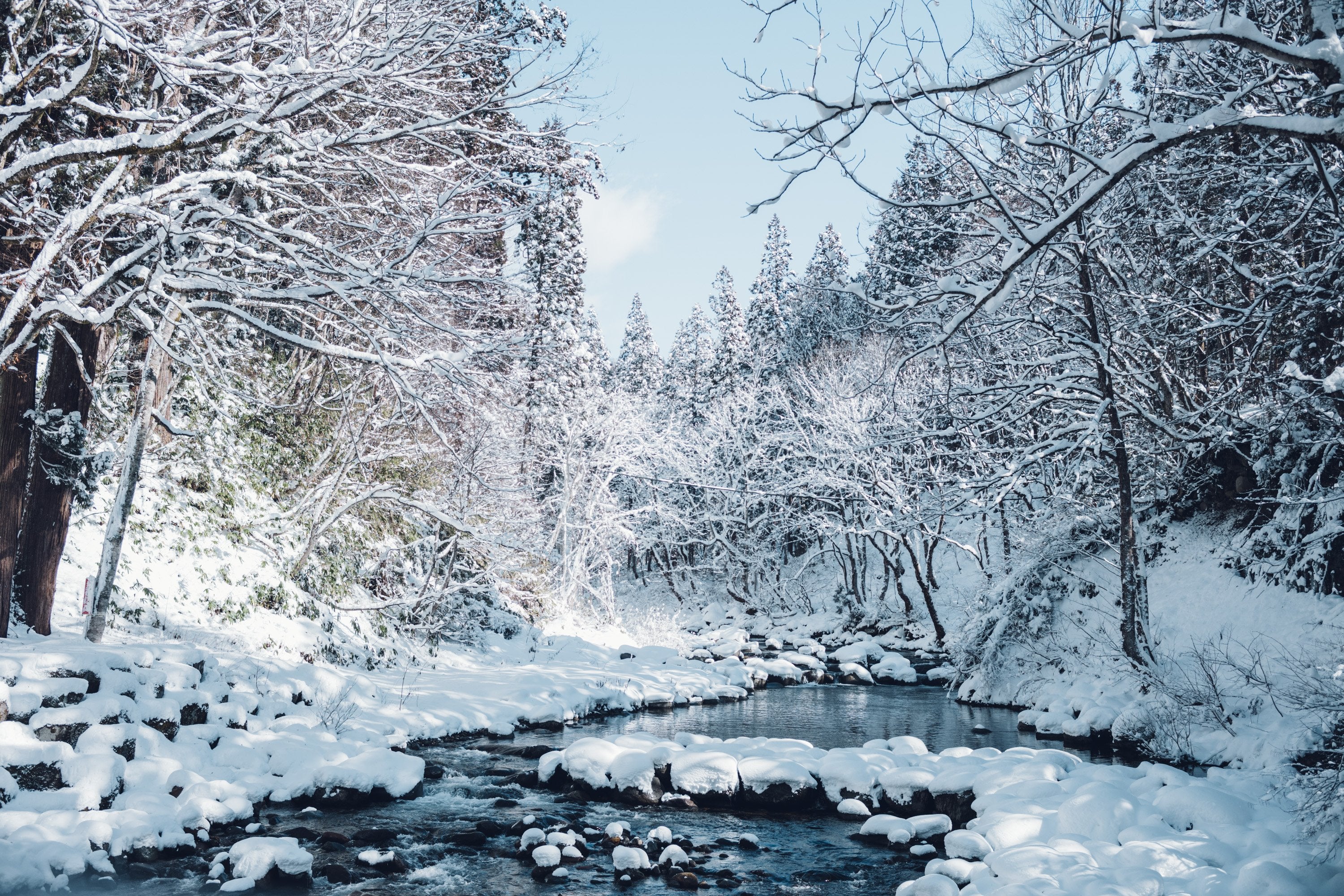 (Cancelled) 3/1-3 Learning about clothing while experiencing life in a snowy country - 2 nights, 3 days, Echizen shirt making course - Copy