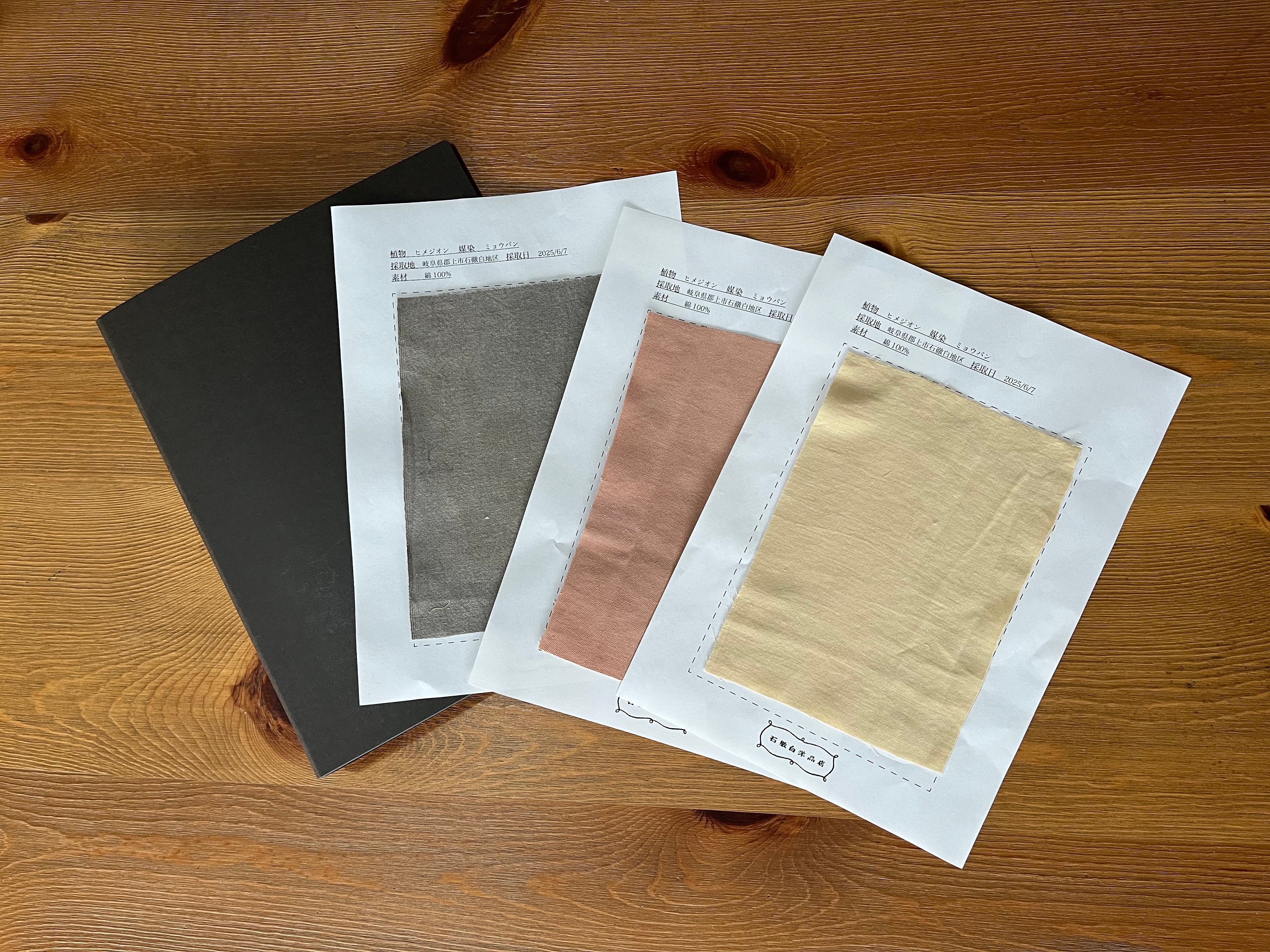 植物採取からの草木染め講座(6,8,10,12月 各回2日間)