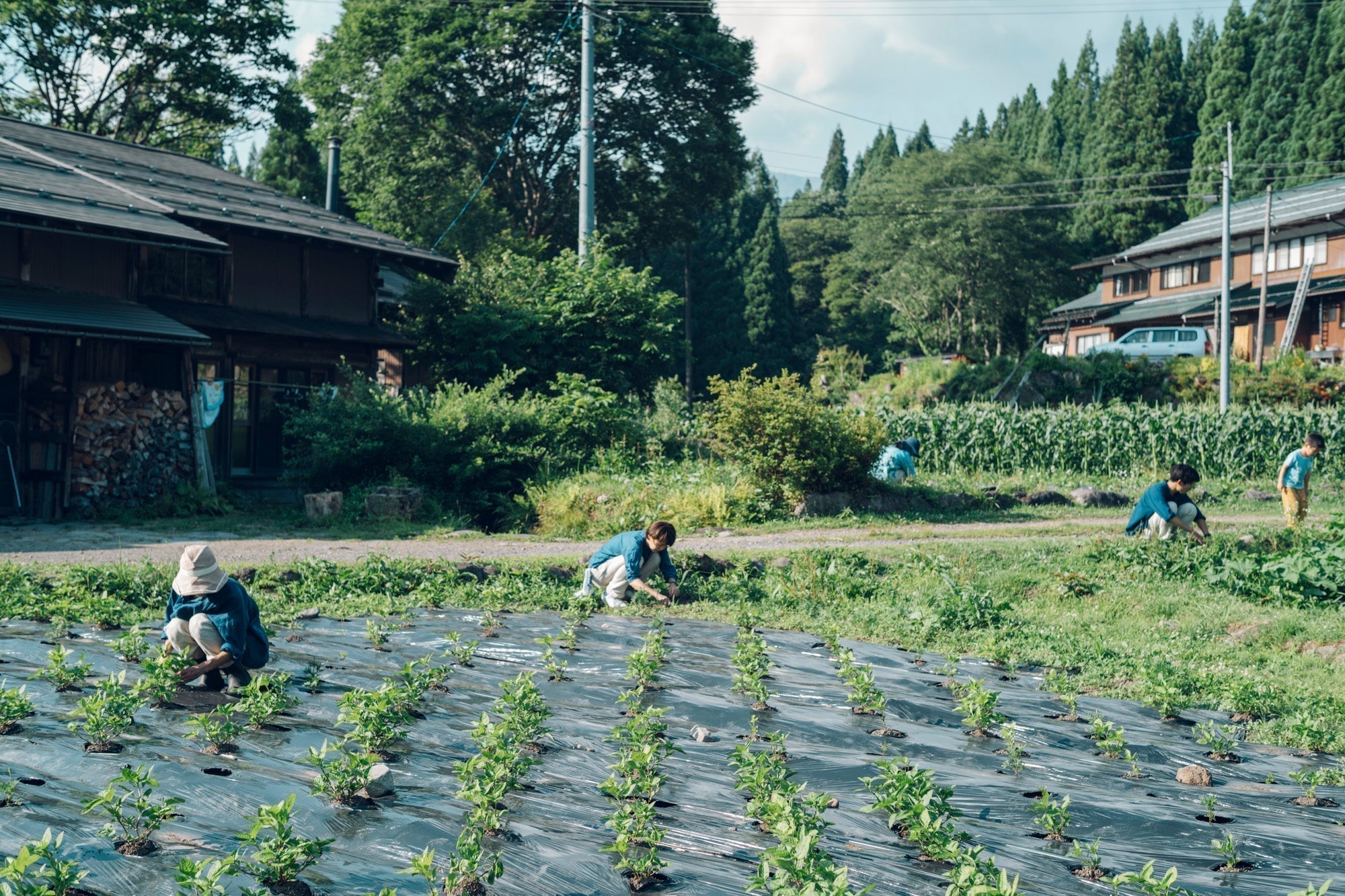 2026年インターン生の募集【お宿・染め/ アパレル・アート作品制作】
