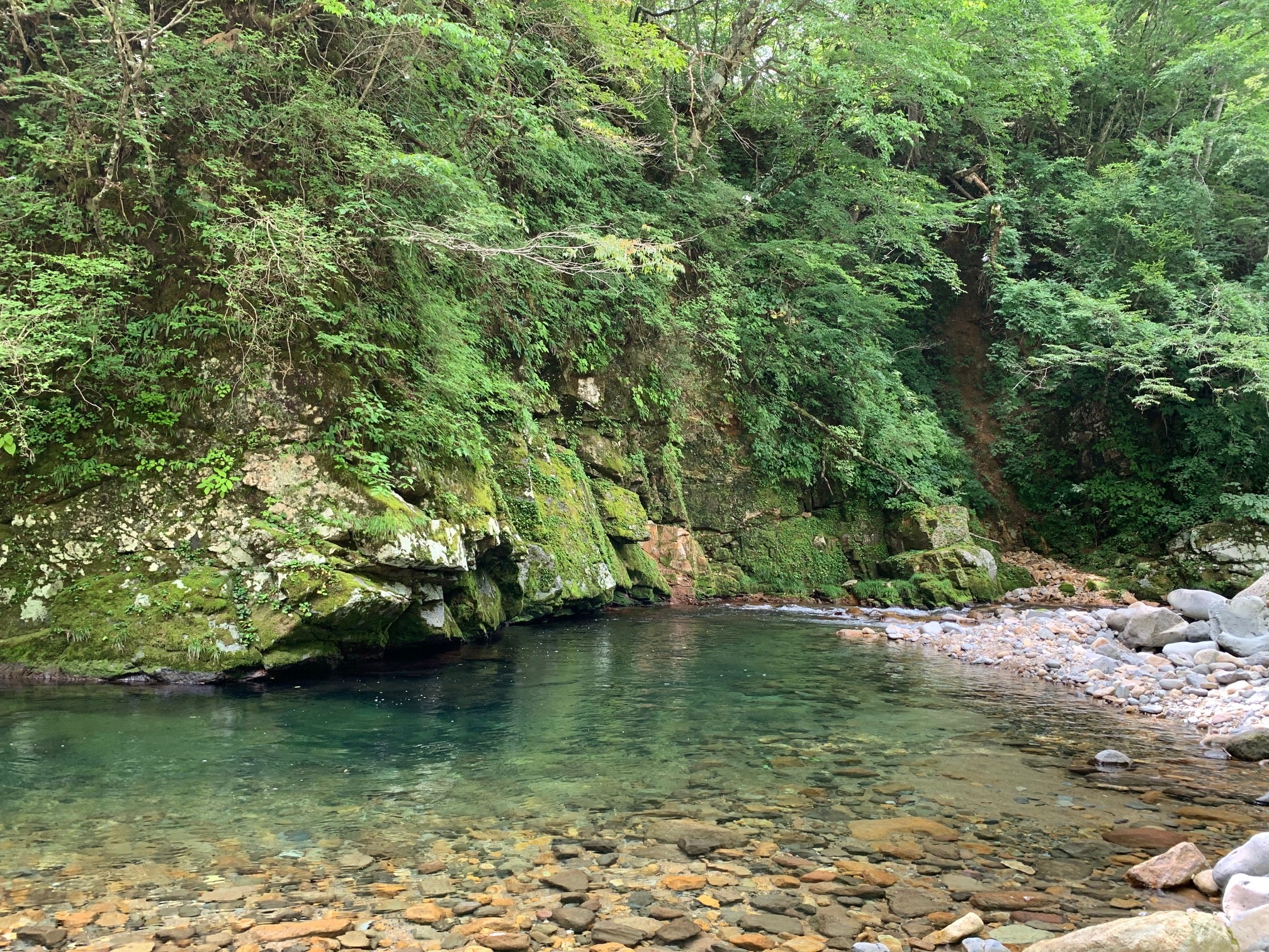 石徹白の川