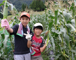 夏休みスペシャル親子企画！∼藍染について学び、自分で染めて、夏休みの作品をつくろう＆とうもろこし収穫体験∼