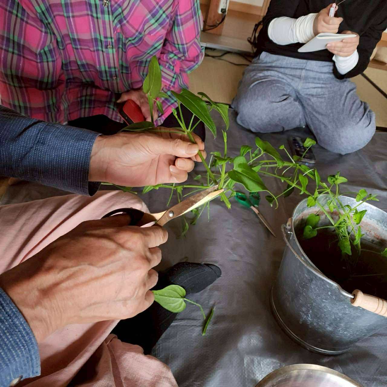 5/12-13 日本茜染め・二日間集中講座 in 石徹白