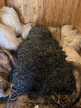 「藍の葉トラスト」　自然栽培家 岡本よりたかさんと共に