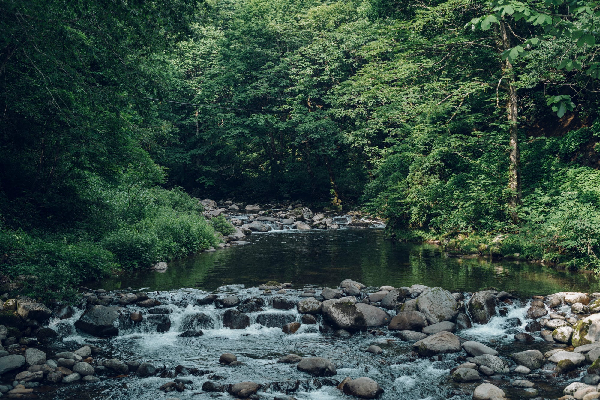 季節を感じる石徹白通い　手縫いと喫茶