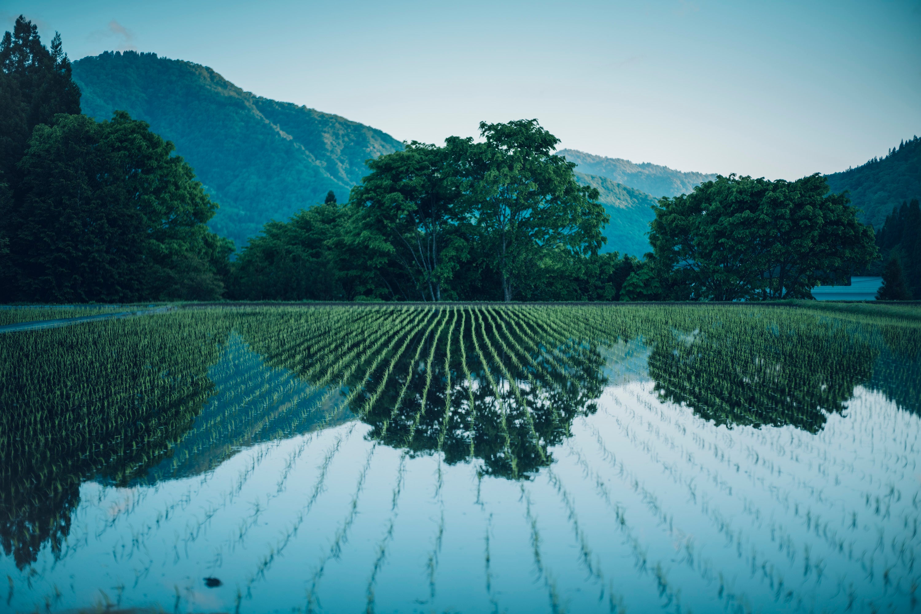 石徹白の食と手しごと 〜ダーニングとお漬物〜 (冬編)　ゲストハウスKIITOSに滞在しながら楽しもう