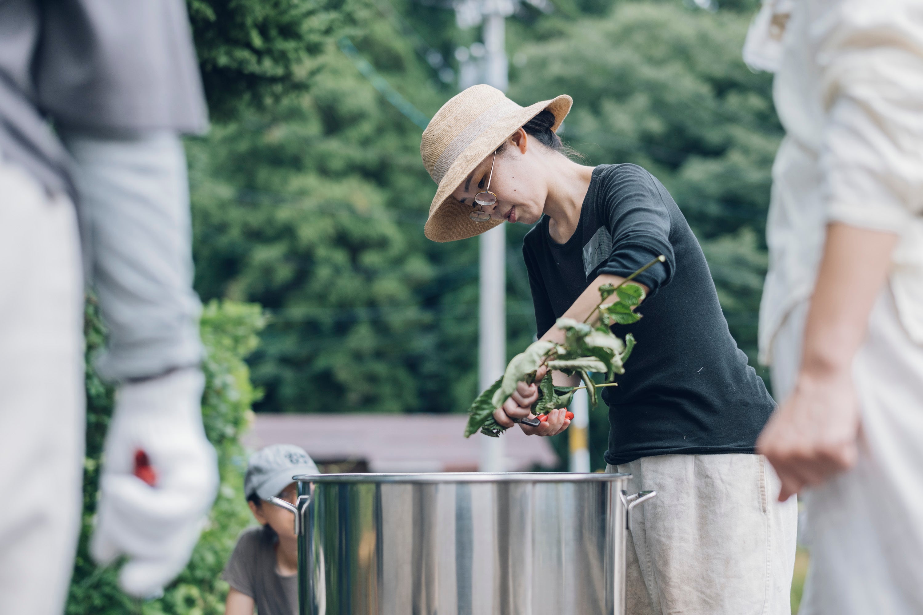 植物採取からの草木染め講座（6,8,10,12月　各回2日間）