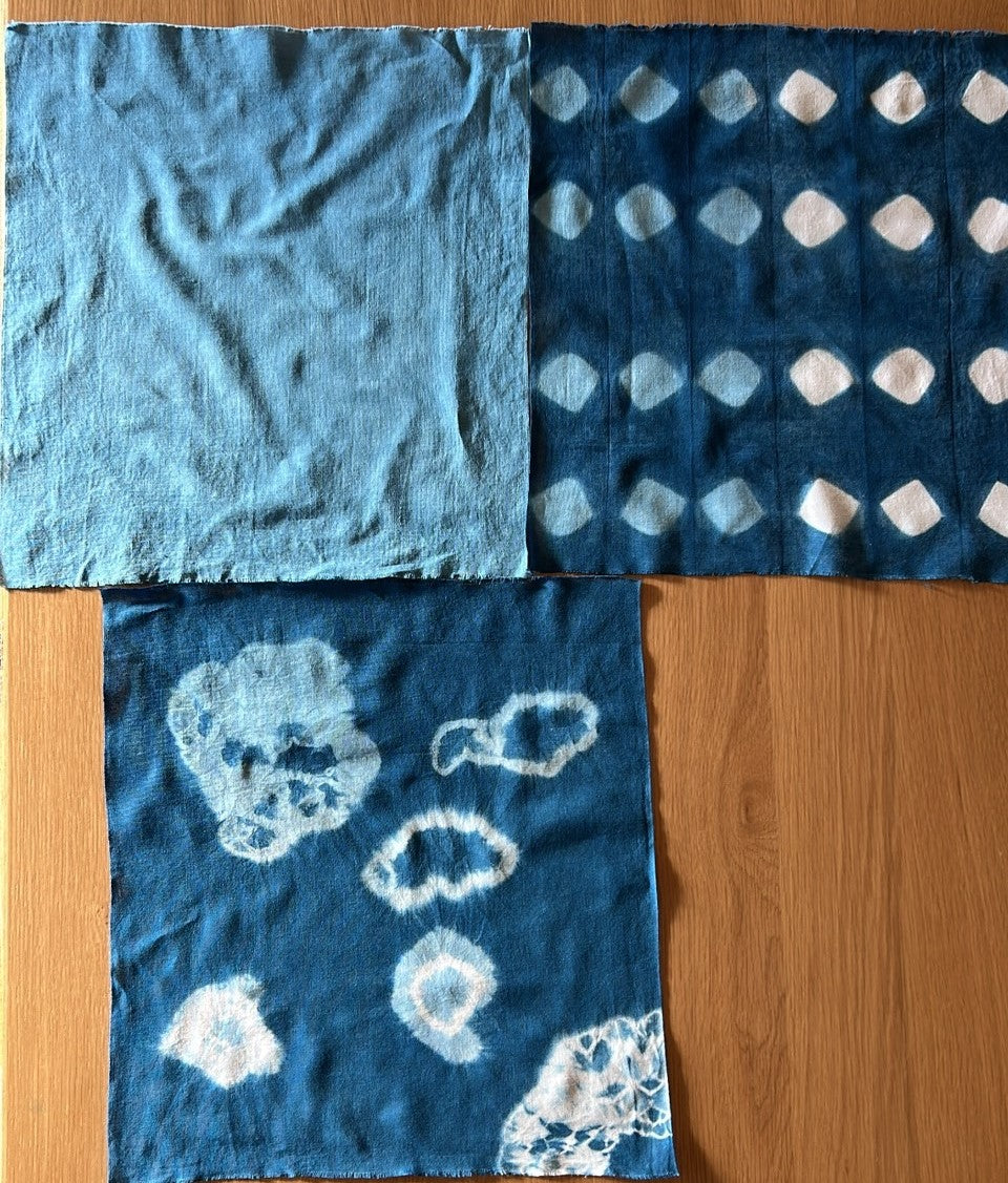 夏休みスペシャル親子企画！∼藍染について学び、自分で染めて、夏休みの作品をつくろう＆とうもろこし収穫体験∼