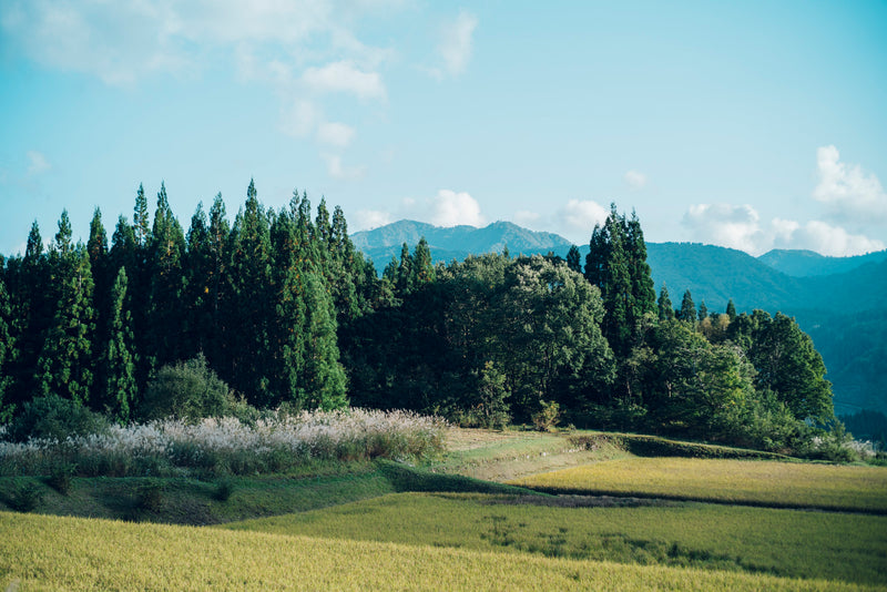 8/19-21 Tatsuke and Hakama Making Workshop ~2 nights and 3 days clothing making course~